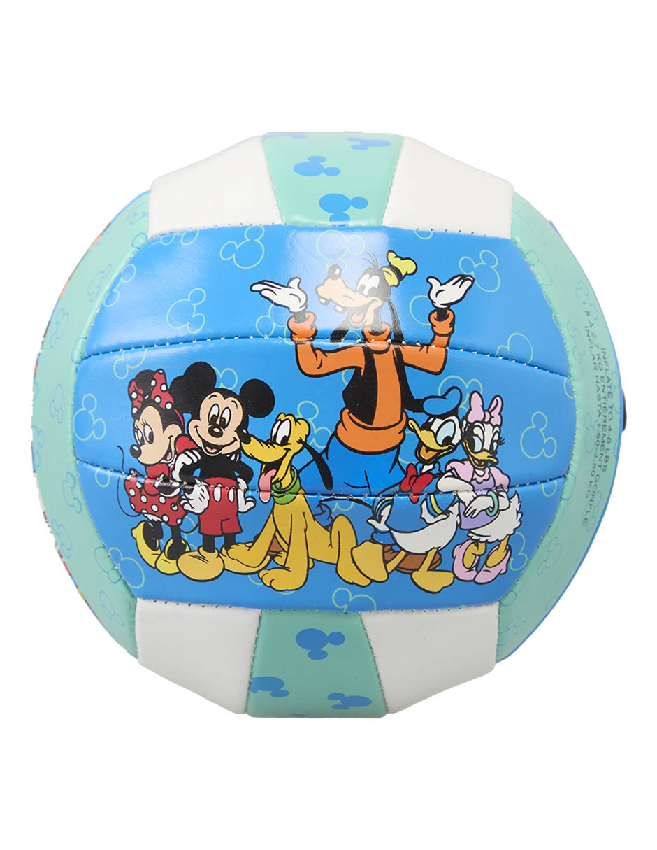 Pelota para voleibol 1