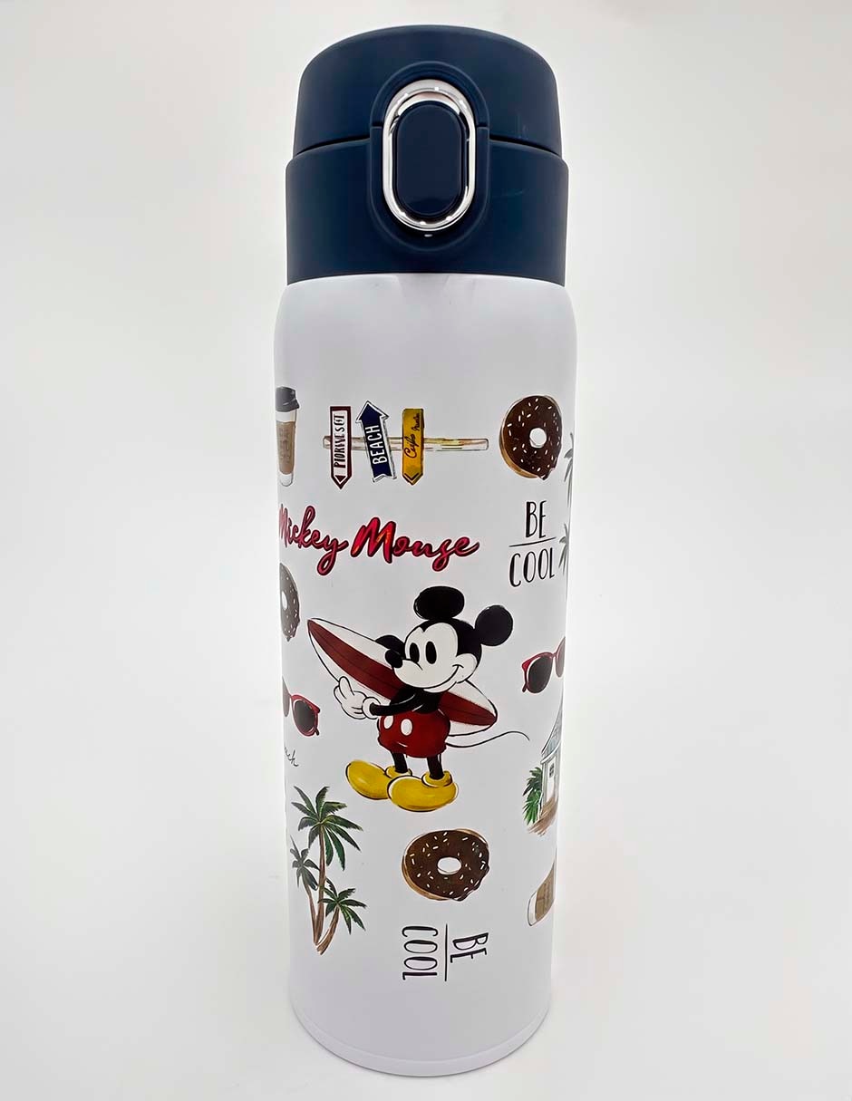Botella de agua de acero inoxidable con tapa push pull 473 ml