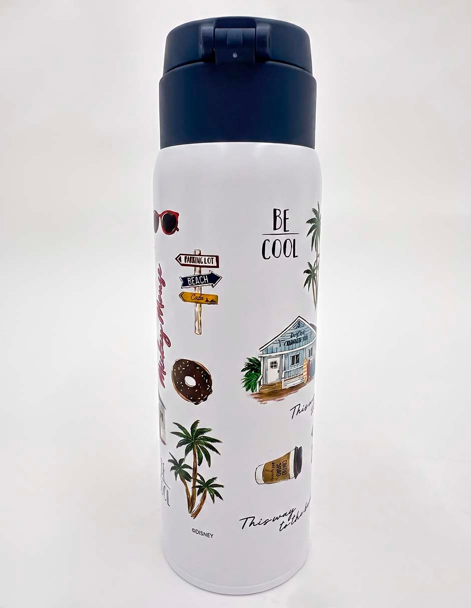 Botella de agua de acero inoxidable con tapa push pull 473 ml 2